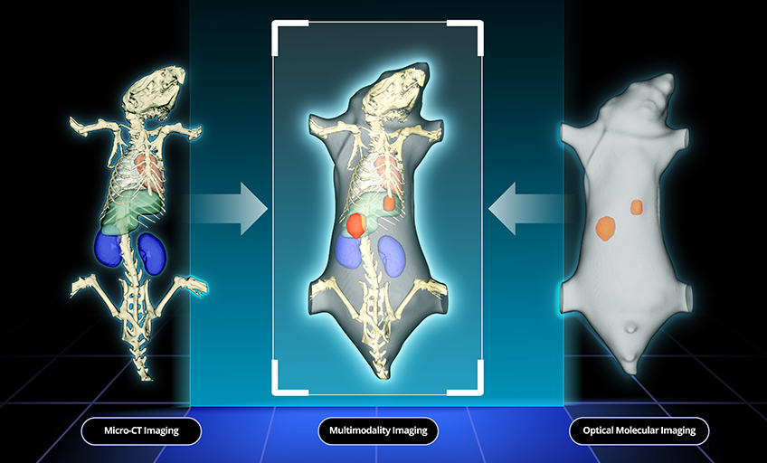 Imaging 1000 Solution